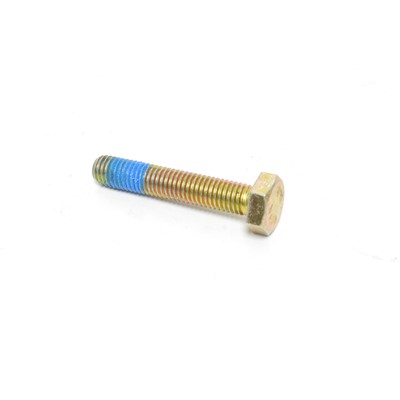 HEX HEAD CAPSCREW, M10-1.5 X 55 W/PATCH