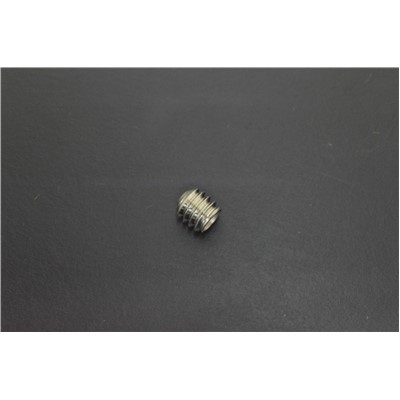 SS SETSCREW, 1/4-20 X .25