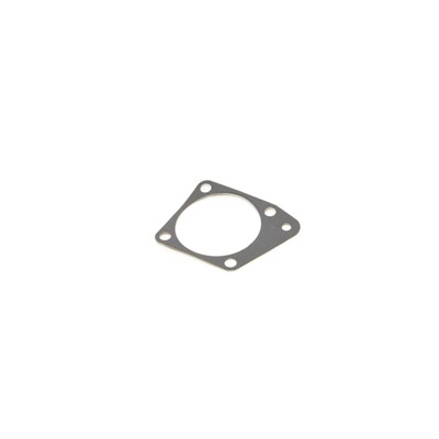 GASKET, DIAPHRAGM