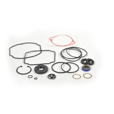 PUMP OVERHAUL SEAL KIT