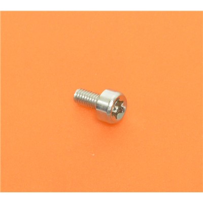 BOLT, TORX 4 X 10