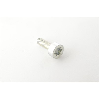 BOLT, TORX 4 X 12